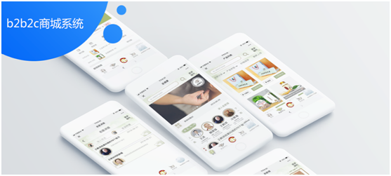 b2b2c商城系統(tǒng)有哪些要求