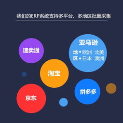 電商erp管理系統,erp管理大師,獨立部署oem