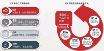 2016中國成人用品b2c市場發(fā)展概述