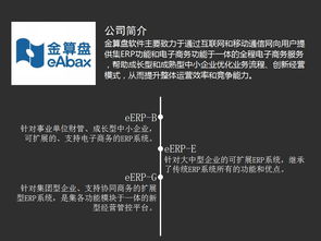 2016年erp軟件廠商及產品