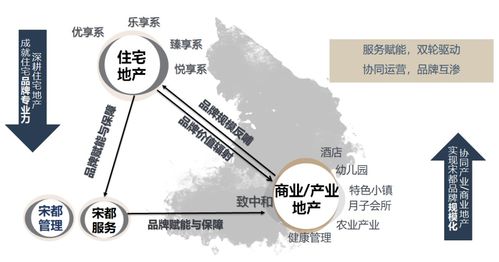 宋都集團 堅守產品謀時局,代建發展拓新局