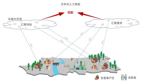 阿里拼多多得大獎(jiǎng),電商如何成就扶貧新變量